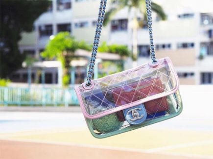 Trending Transparent Bags For Future Fashion Styles thumb