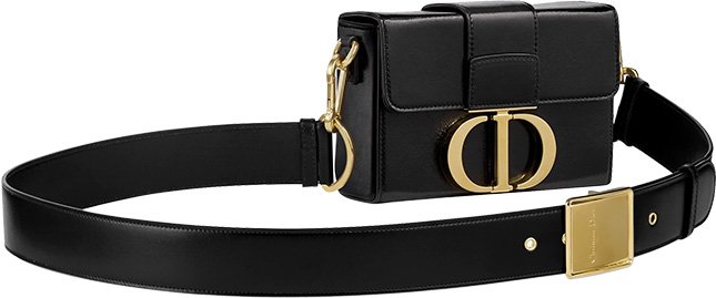 Dior Montaigne Waist Bag