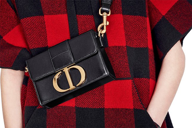 Dior Montaigne Waist Bag