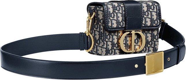 Dior Montaigne Waist Bag