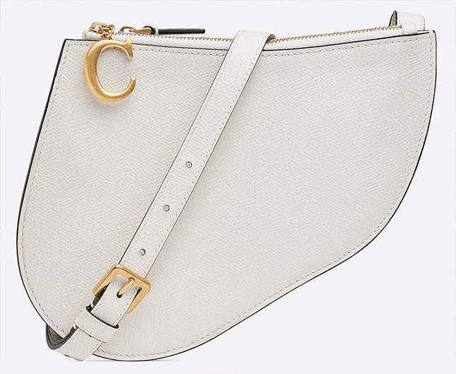 Dior Saddle WOC