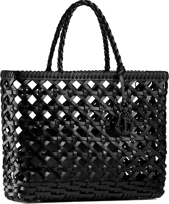 DiorCabas Bag