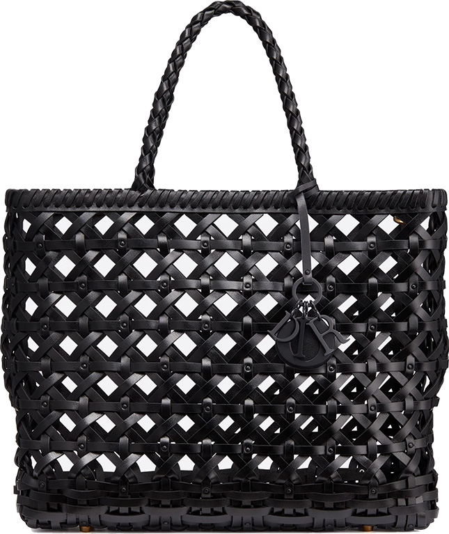 DiorCabas Bag