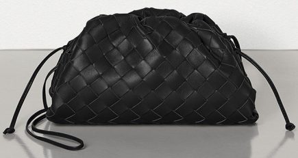 Bottega Veneta The Pouch Bag