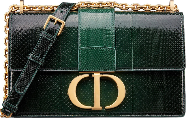 Dior Montaigne Bag with Chain