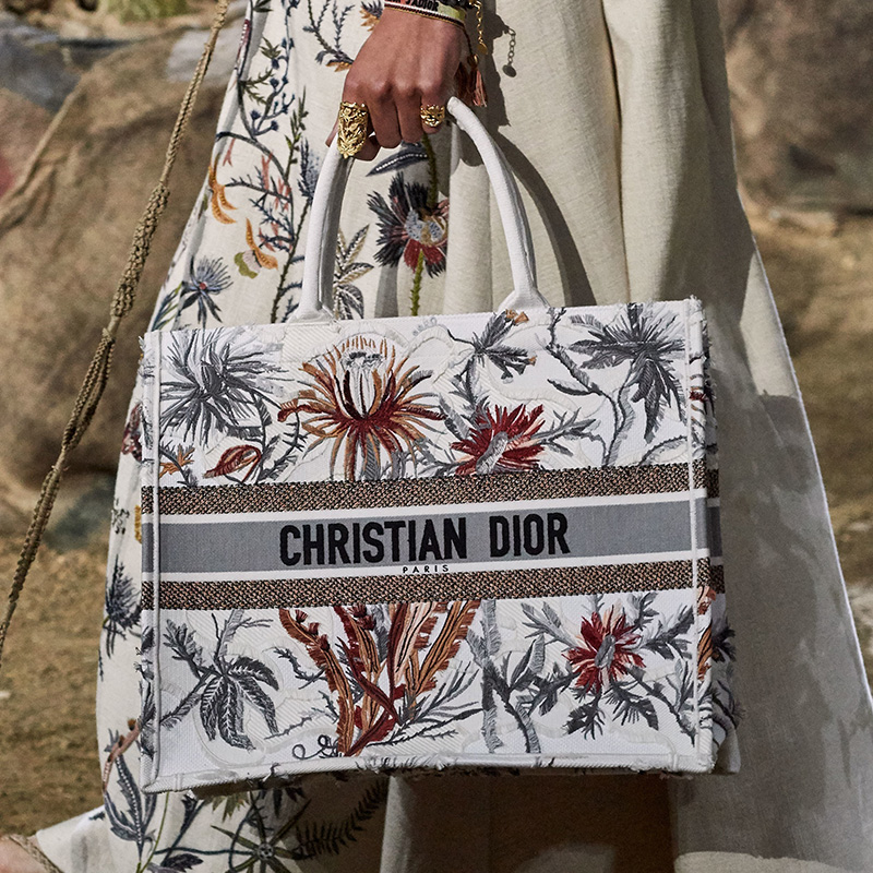 Dior Spring Summer Bag Preview