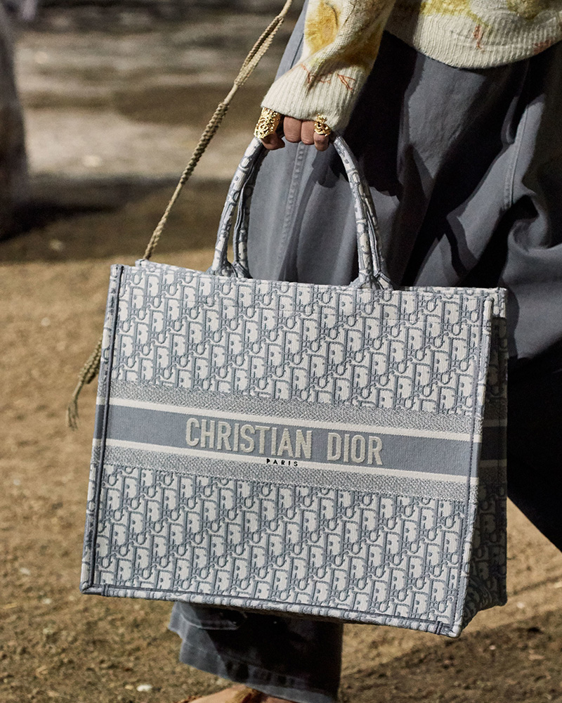 Dior Spring Summer Bag Preview