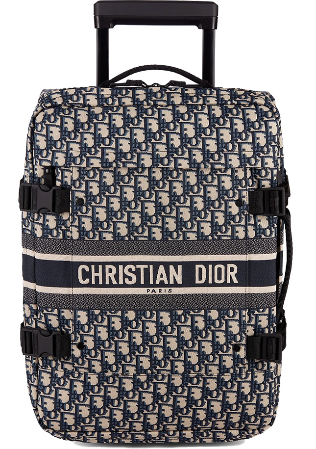 Travel Dior Bag And Trolley Case