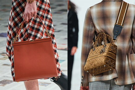 Dior Fall Runway Bag Collection thumb