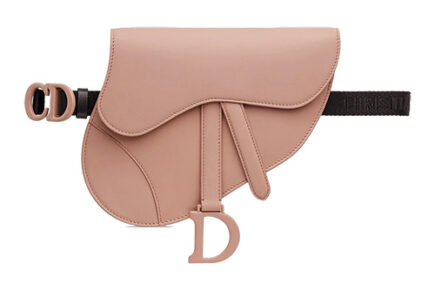 Dior Saddle Flat Belt Pouch thumb