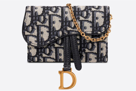 Dior Saddle Nano Pouch With Chain thumb