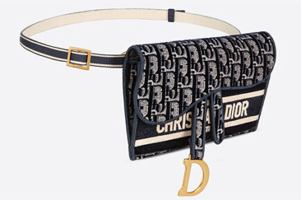 Dior Slim Saddle Pouch thumb