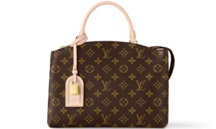 Louis Vuitton Petit Palais Monogram Canvas Bag Featured Image