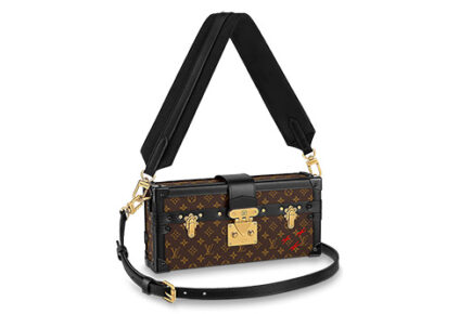 Louis Vuitton Petite Malle East West Bag thumb