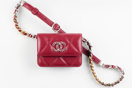 Chanel Pre Fall Bag Collection thumb