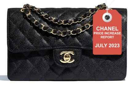 chanel bag Replica Shopping thumb july