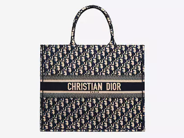 dior book bag Replica Shopping