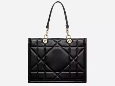 dior essentieel bag Replica Shopping