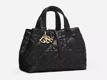 dior toujours bag Replica Shopping