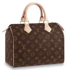 louis vuitton speedy bag Replica Shopping featured image