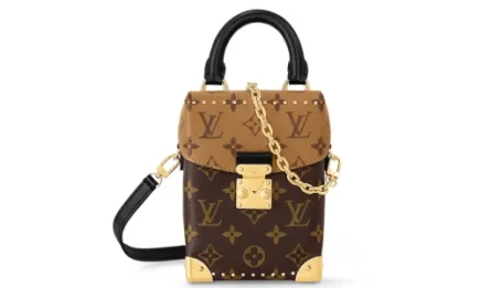 Louis Vuitton Camera Box in Monogram Reverse Featured image