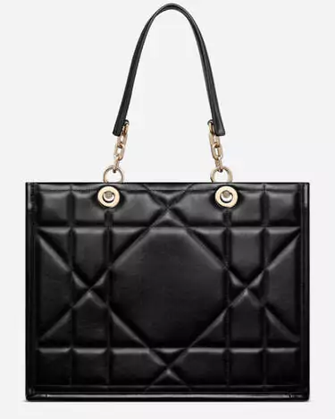 dior essential bag Replica Shopping