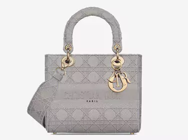 dior lady d lite bag Replica Shopping