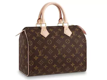 louis vuitton speedy bag