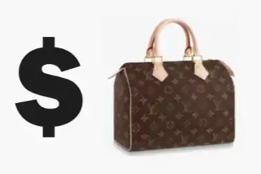 louis vuitton bag Replica Shopping thumb webp