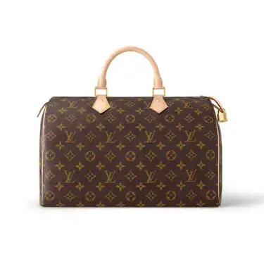 louis vuitton speedy bag Replica Shopping