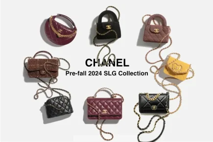 chanel slg collections front image