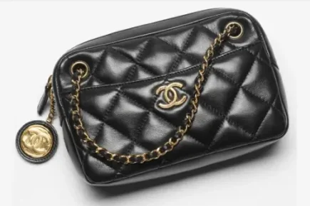 Chanel Camera Case 2024 featured image