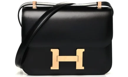 Hermes Constance 1 24 Bag in Box Calfskin Featured image