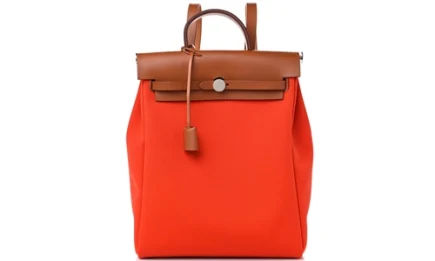 Hermes Herbag A Dos Zip Retourne Backpack in Militaire canvas and Hunter cowhide Featured image