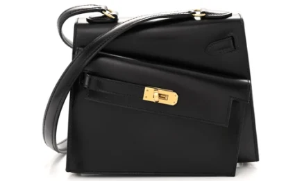 Hermes Kelly En Désordre 20 Bag in Epsom Featured image