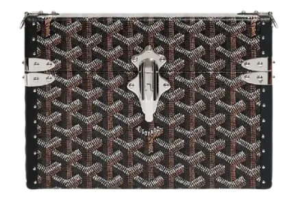 Goyard Cassette Trunk Bag Featured image