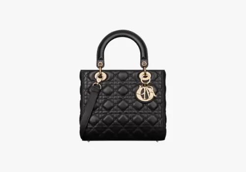 Dior Bag Replica Shopping Homepage